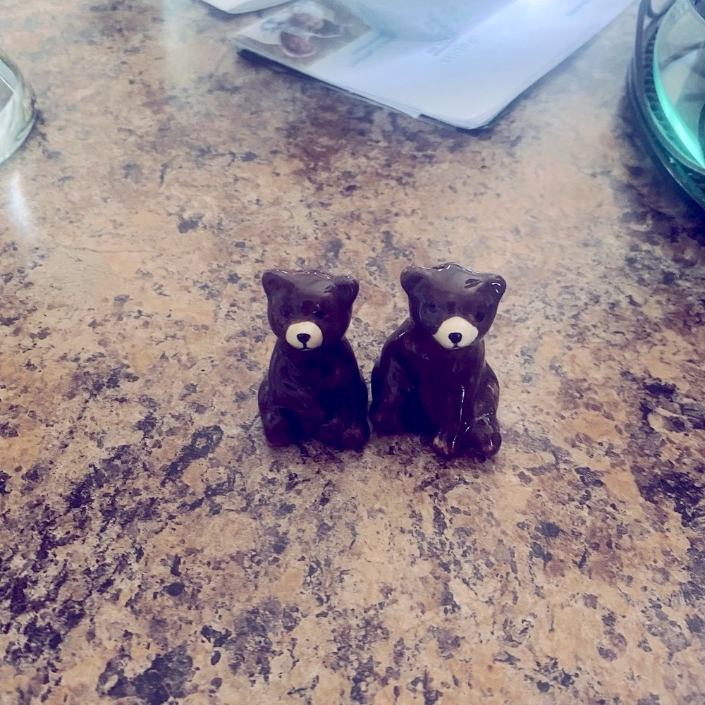 Brown Bear 🐻 Salt & Pepper Shakers